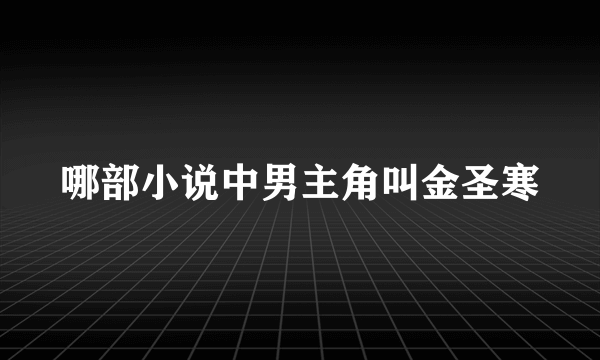 哪部小说中男主角叫金圣寒