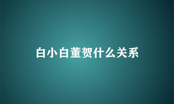 白小白董贺什么关系