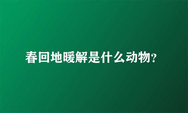 春回地暖解是什么动物？