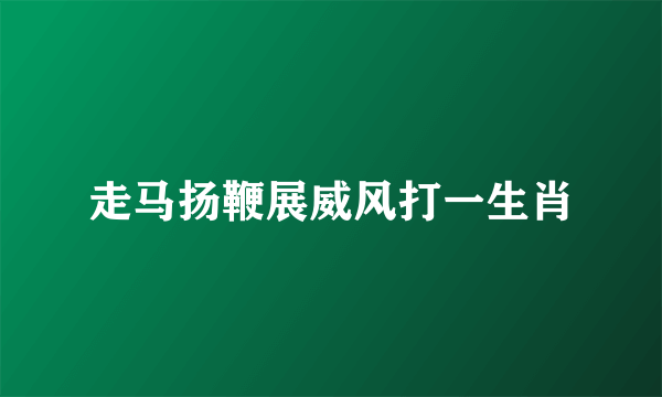 走马扬鞭展威风打一生肖