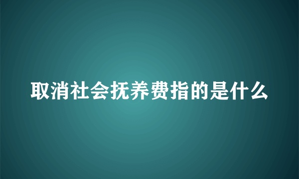 取消社会抚养费指的是什么