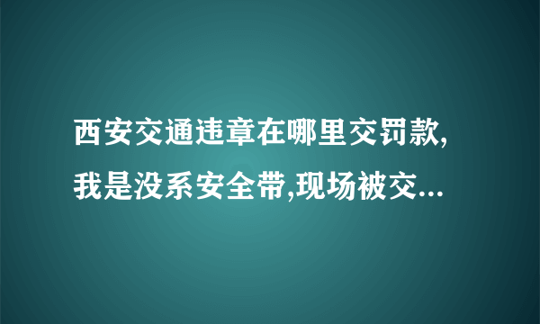 西安交通违章在哪里交罚款,我是没系安全带,现场被交警开的罚单,罚款50元扣1分,去哪里交罚款啊?