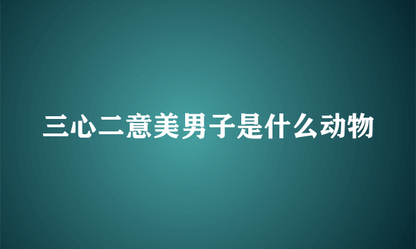 三心二意美男子是什么动物