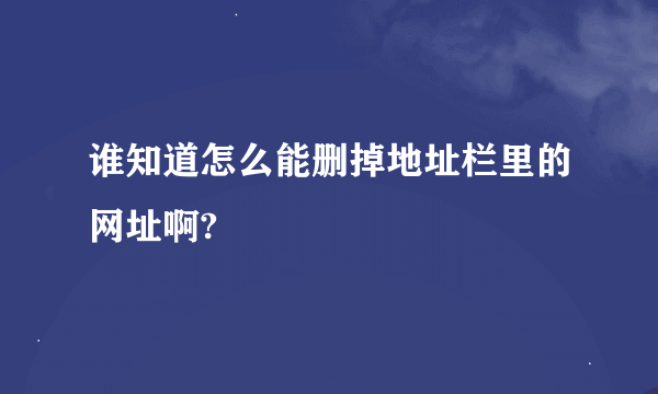 谁知道怎么能删掉地址栏里的网址啊?