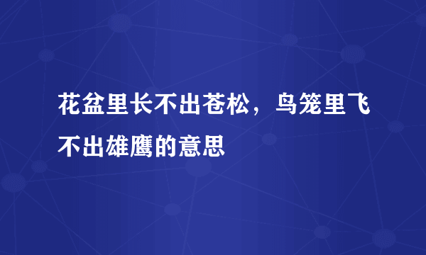 花盆里长不出苍松，鸟笼里飞不出雄鹰的意思