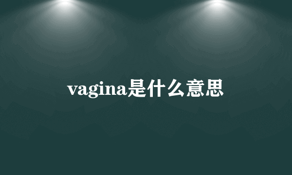 vagina是什么意思