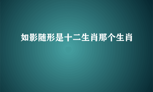 如影随形是十二生肖那个生肖