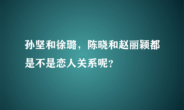 孙坚和徐璐，陈晓和赵丽颖都是不是恋人关系呢？