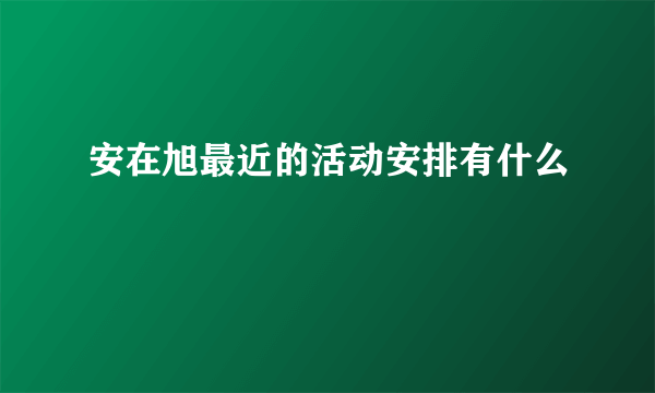 安在旭最近的活动安排有什么