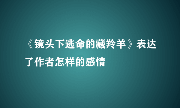 《镜头下逃命的藏羚羊》表达了作者怎样的感情