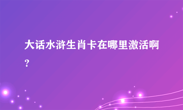 大话水浒生肖卡在哪里激活啊?