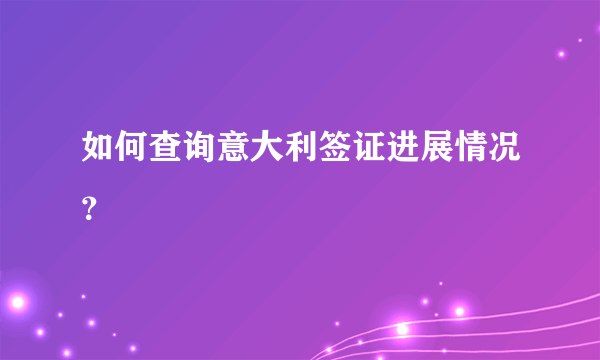 如何查询意大利签证进展情况？