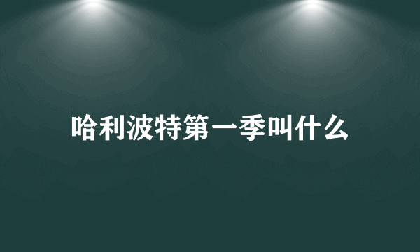 哈利波特第一季叫什么