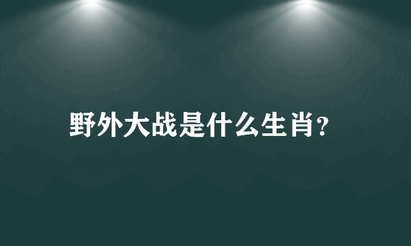 野外大战是什么生肖？