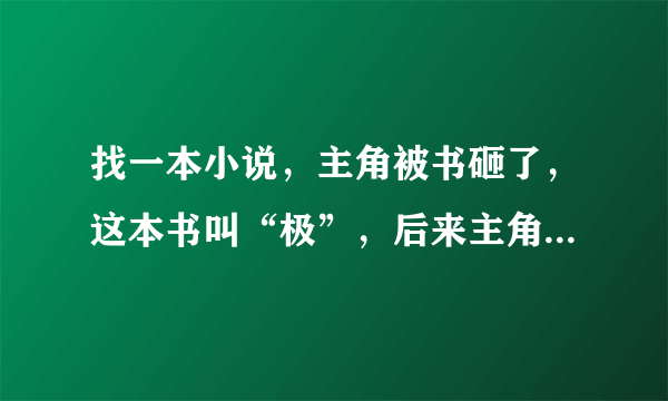 找一本小说，主角被书砸了，这本书叫“极”，后来主角进监狱了。