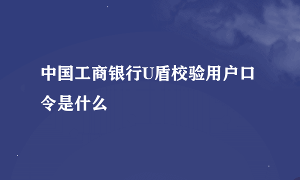 中国工商银行U盾校验用户口令是什么