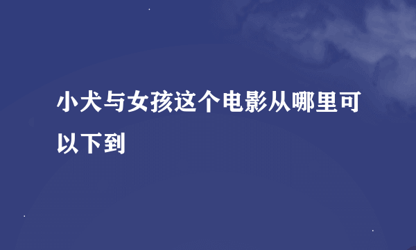 小犬与女孩这个电影从哪里可以下到