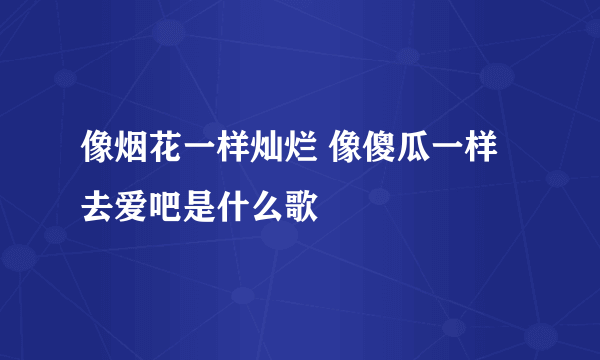 像烟花一样灿烂 像傻瓜一样去爱吧是什么歌