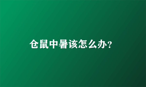 仓鼠中暑该怎么办？