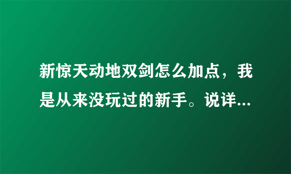 新惊天动地双剑怎么加点，我是从来没玩过的新手。说详细些刷FB怎么加，PK又怎么加？