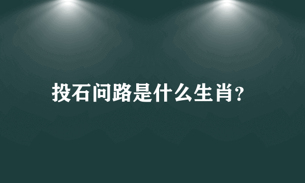 投石问路是什么生肖？