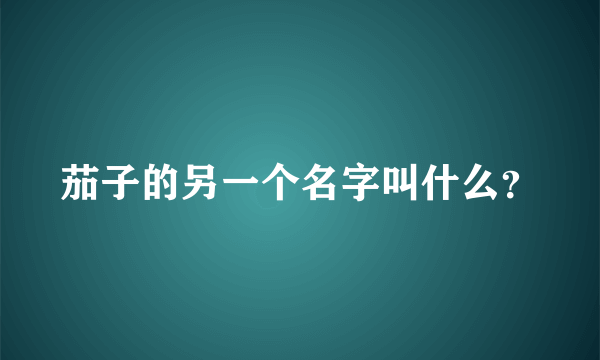 茄子的另一个名字叫什么？