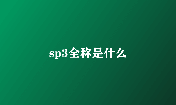 sp3全称是什么