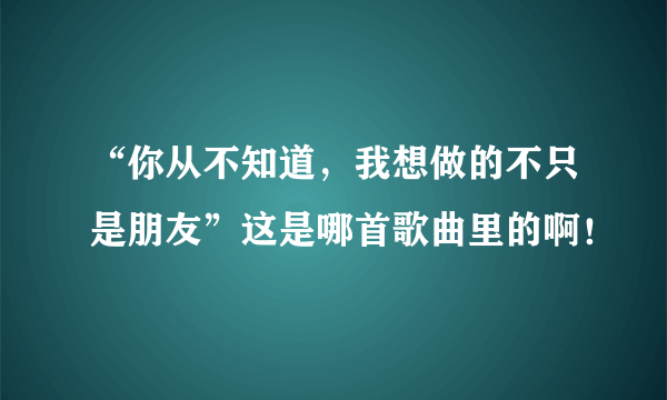 “你从不知道，我想做的不只是朋友”这是哪首歌曲里的啊！