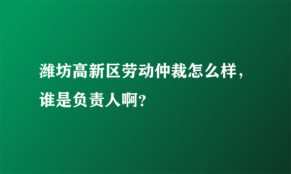 潍坊高新区劳动仲裁怎么样，谁是负责人啊？