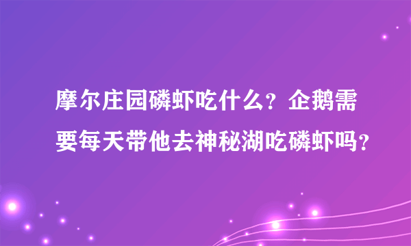 摩尔庄园磷虾吃什么？企鹅需要每天带他去神秘湖吃磷虾吗？