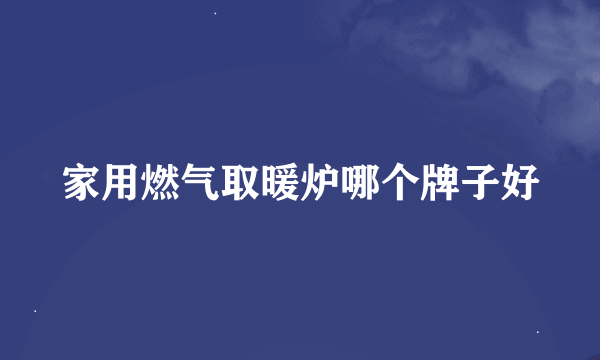 家用燃气取暖炉哪个牌子好