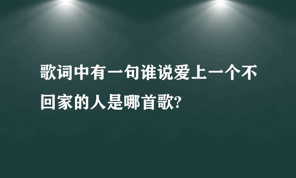 歌词中有一句谁说爱上一个不回家的人是哪首歌?