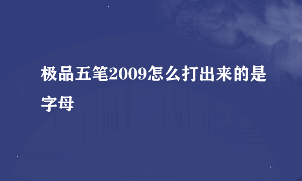 极品五笔2009怎么打出来的是字母