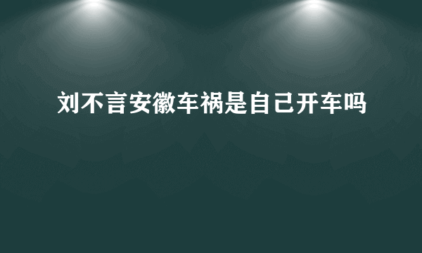 刘不言安徽车祸是自己开车吗