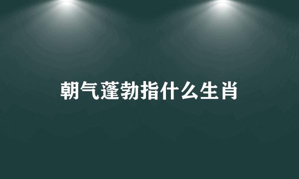 朝气蓬勃指什么生肖