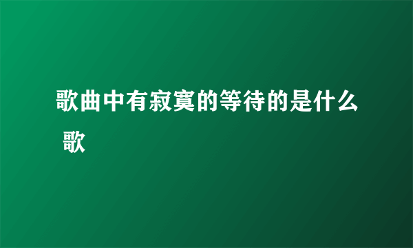 歌曲中有寂寞的等待的是什么 歌