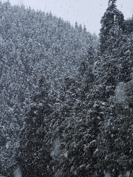 湖南有16个县市区暴雪，当地的气温情况如何？