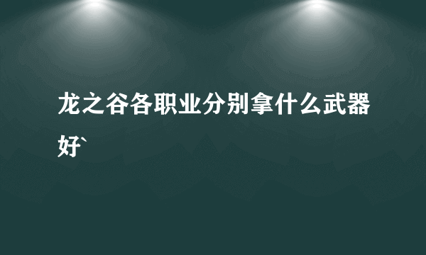 龙之谷各职业分别拿什么武器好`