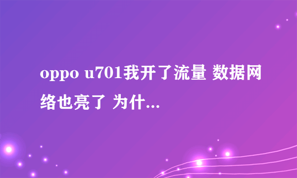 oppo u701我开了流量 数据网络也亮了 为什么就是上不了网？该怎么办？