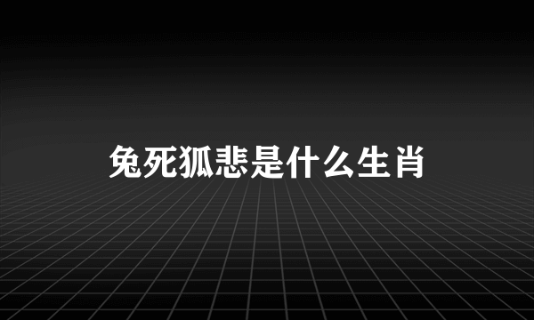 兔死狐悲是什么生肖