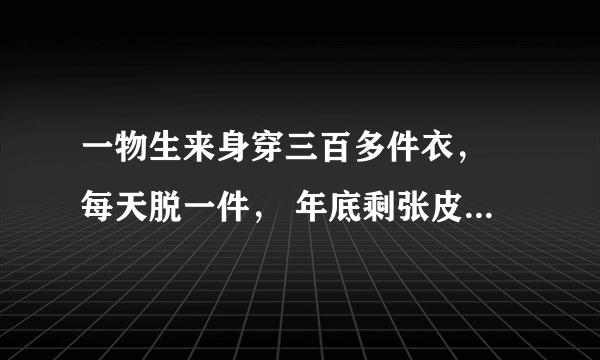 一物生来身穿三百多件衣， 每天脱一件， 年底剩张皮。  打一（物）