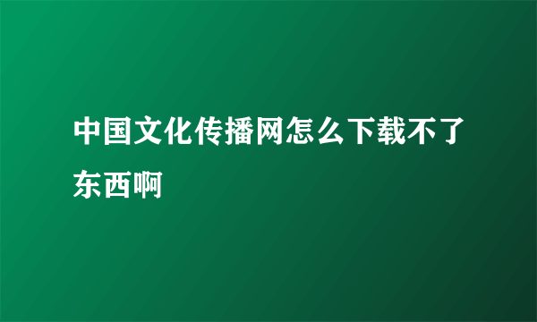 中国文化传播网怎么下载不了东西啊