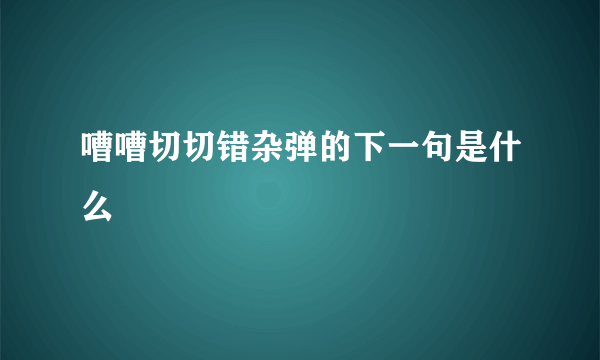 嘈嘈切切错杂弹的下一句是什么