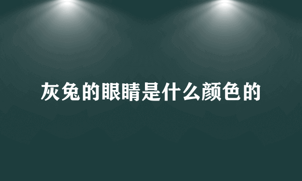 灰兔的眼睛是什么颜色的