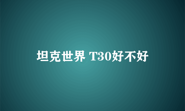 坦克世界 T30好不好