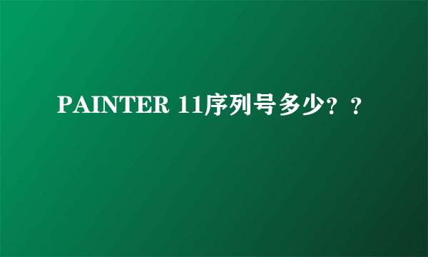 PAINTER 11序列号多少？？