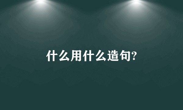 什么用什么造句?