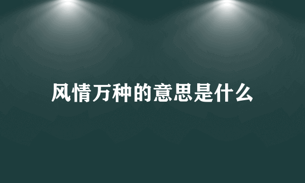 风情万种的意思是什么