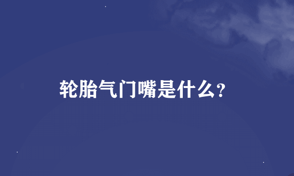 轮胎气门嘴是什么？