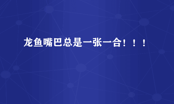 龙鱼嘴巴总是一张一合！！！